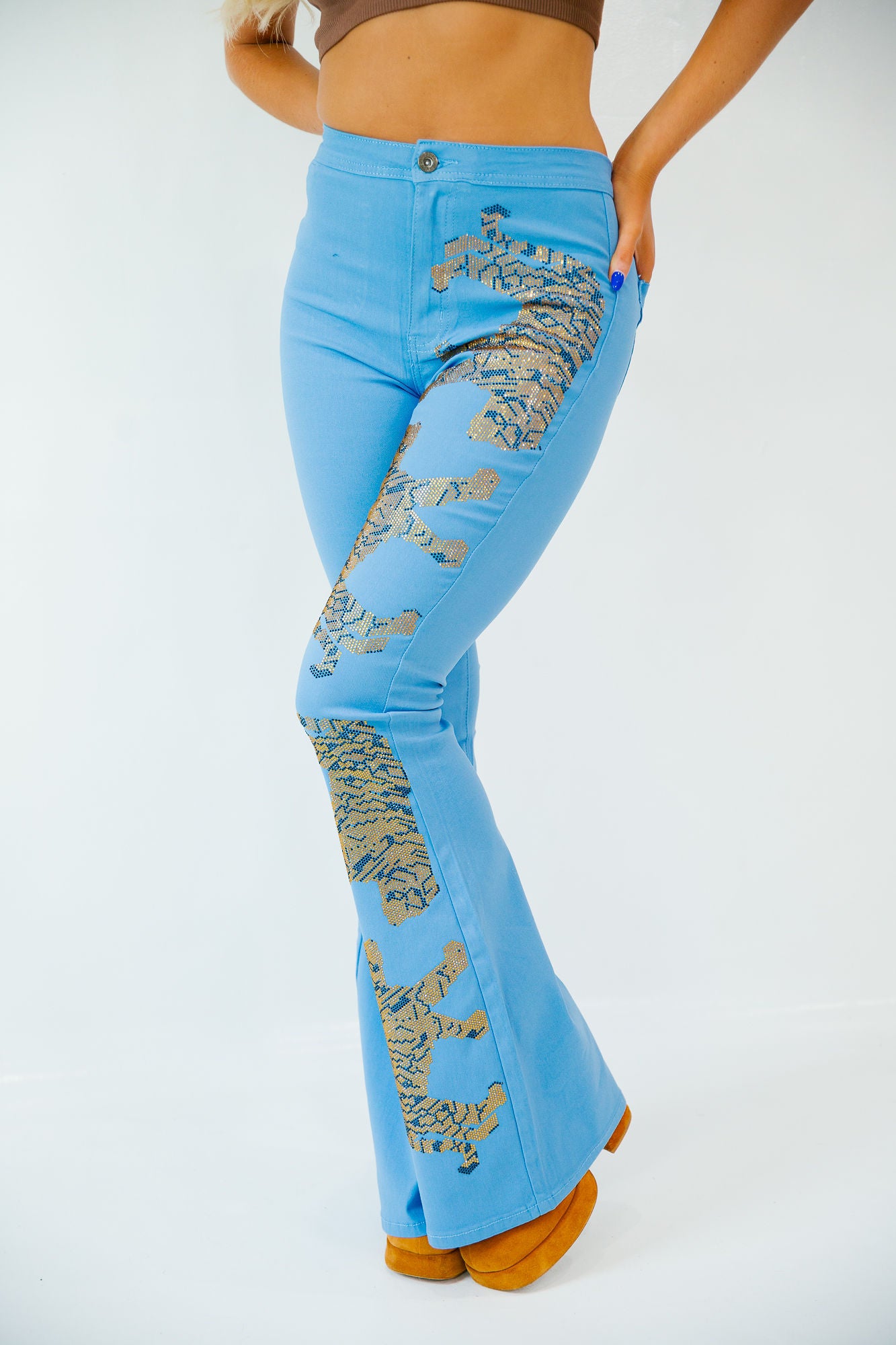 ON THE PROWL BLUE FLARES gameday23 Judith March