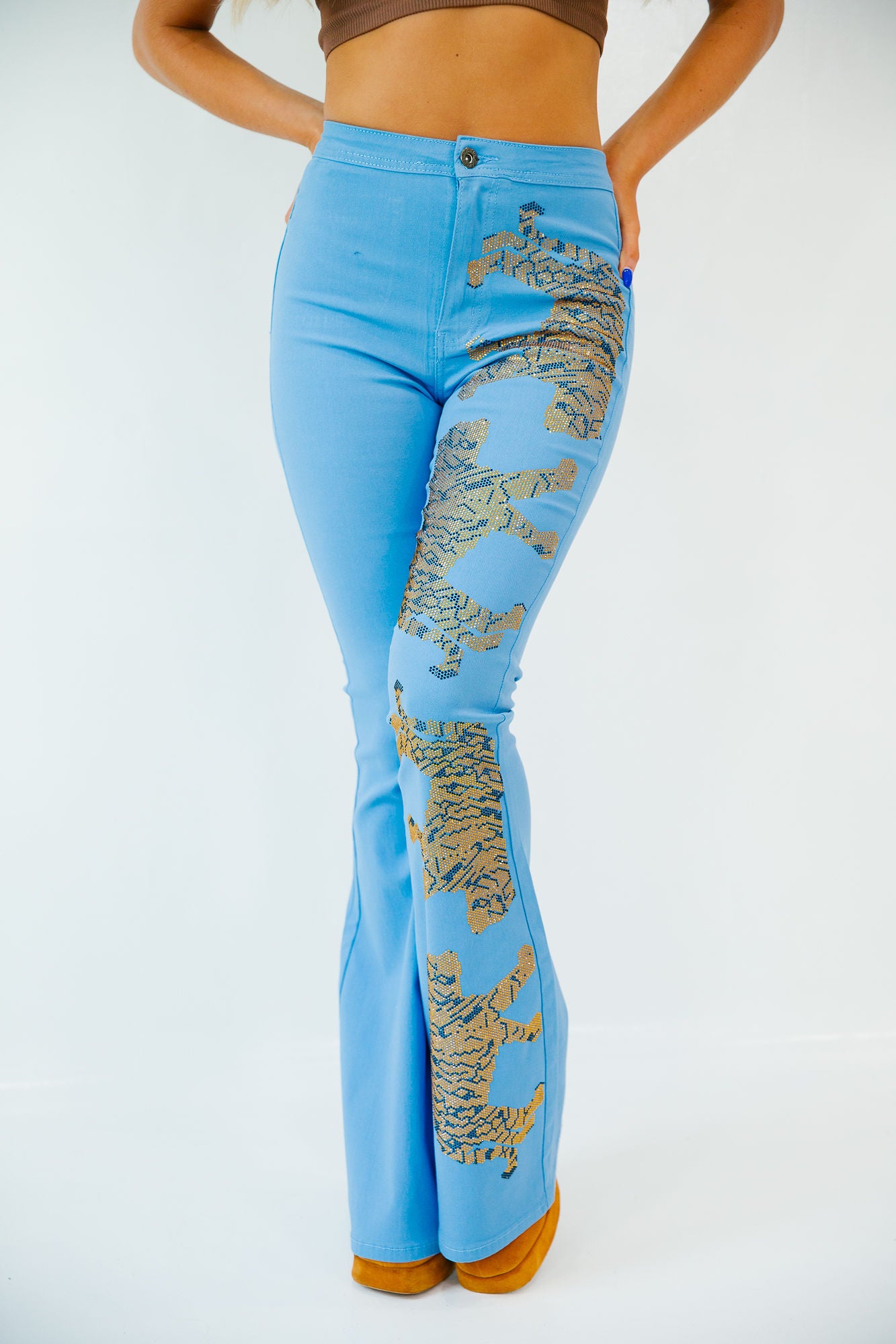 ON THE PROWL BLUE FLARES gameday23 Judith March