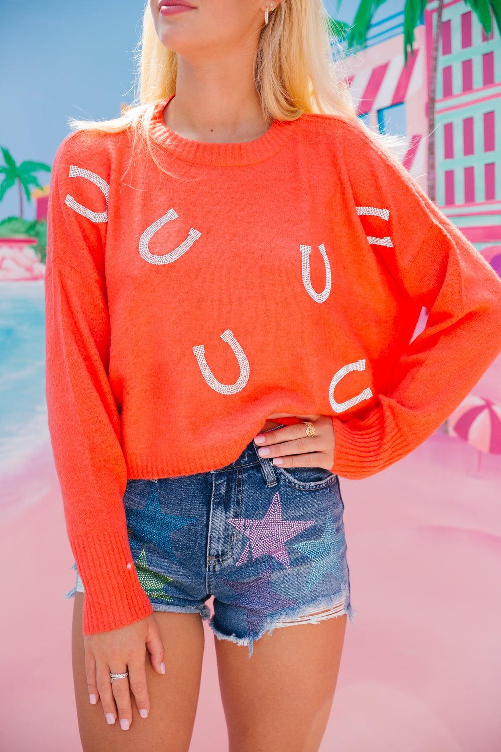 LUCKY YOU HORSESHOE SWEATER  Judith March   