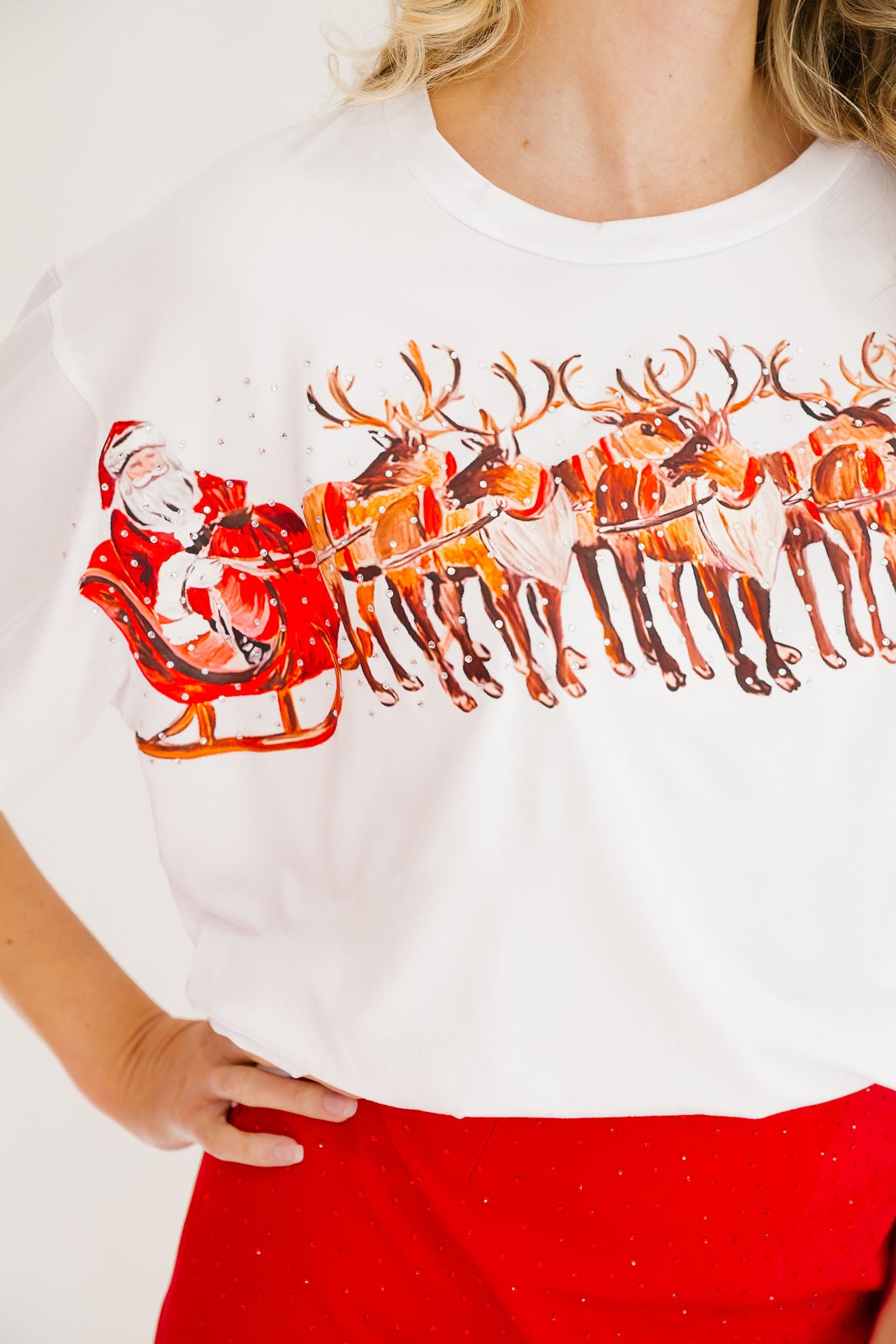 SANTA'S SLEIGH TEE TEE Judith March