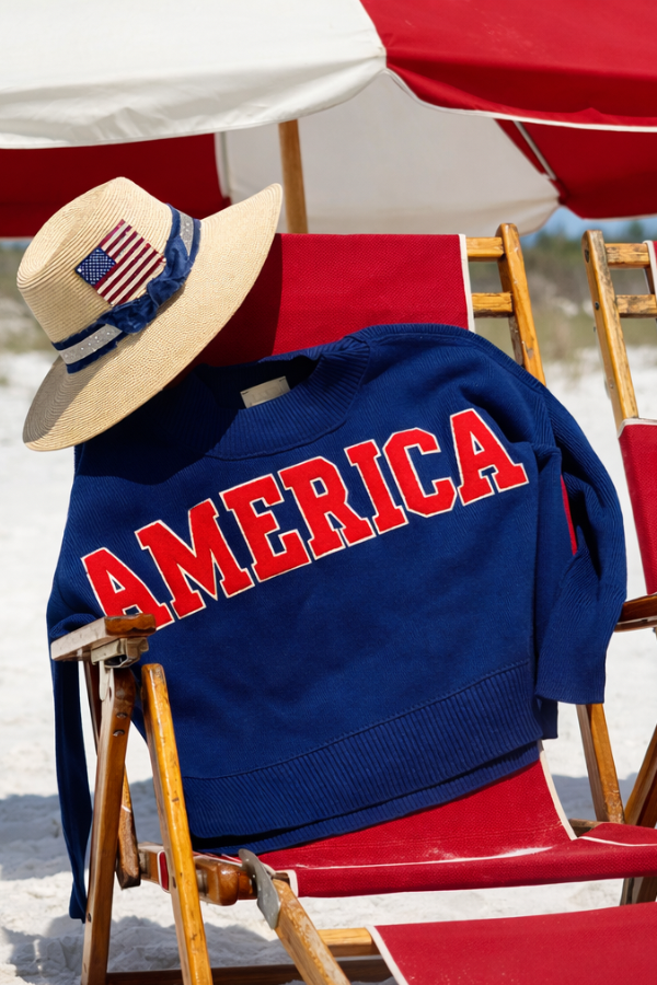 AMERICA NAVY SWEATER SWEATER Judith March