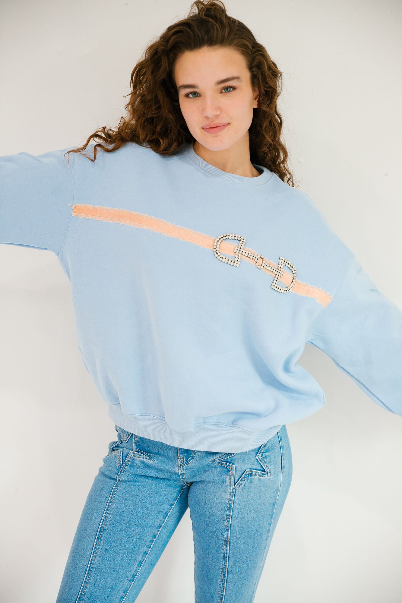 *DIAMOND HORSESHOE LIGHT BLUE PULLOVER - SMALL PULLOVER Judith March