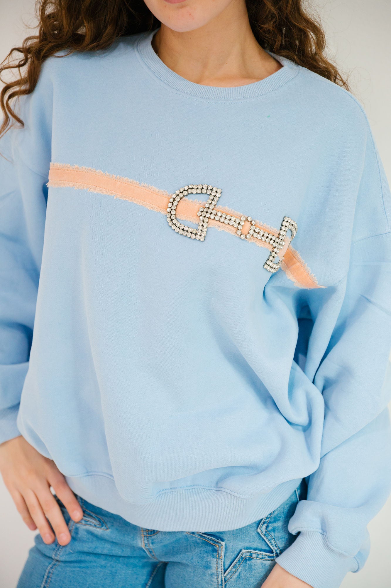 *DIAMOND HORSESHOE LIGHT BLUE PULLOVER - SMALL PULLOVER Judith March