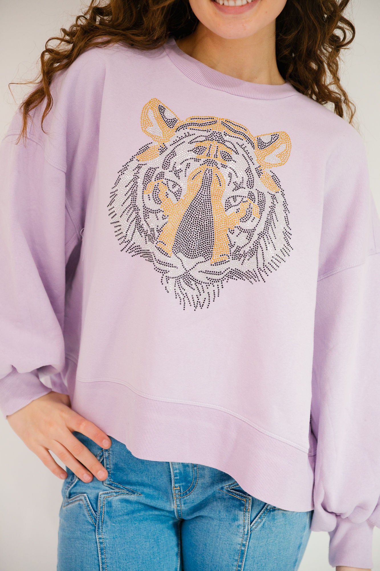 *TIGER HEAD PURPLE PULLOVER - XLARGE PULLOVER Judith March