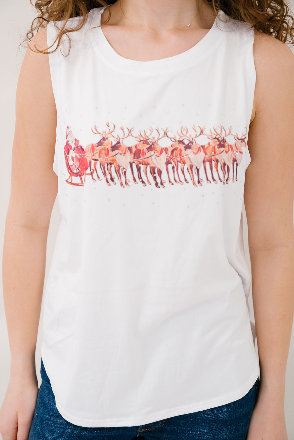 *SANTA'S SLEIGH TANK - XLARGE PULLOVER Judith March
